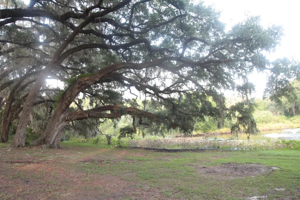 Enchanted Oaks Farm & Lakehouse #24