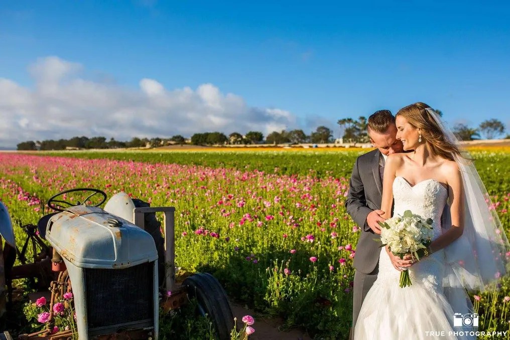 The Flower Fields #1