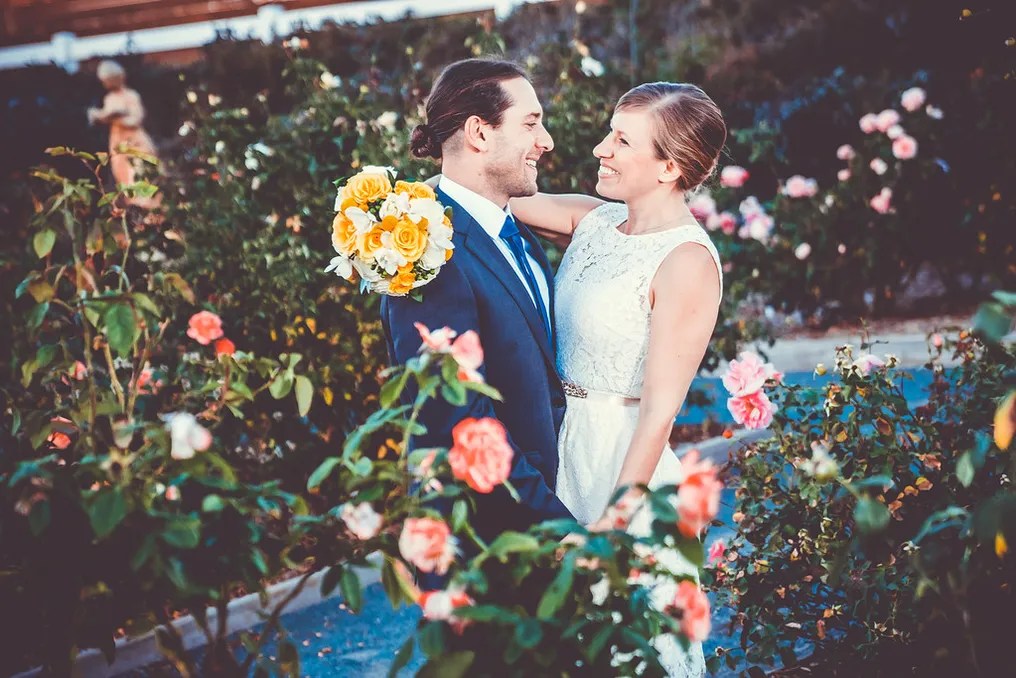 The Flower Fields #24