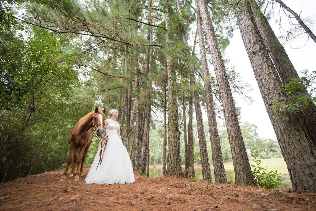 Rustic Rose Events #17