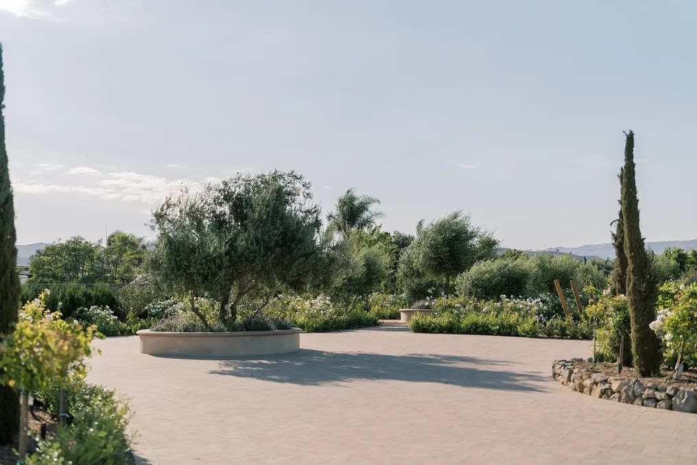 Tuscan Rose Ranch #4