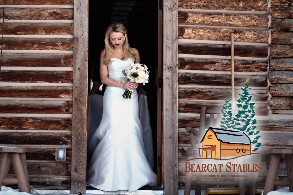 Bearcat Stables #1