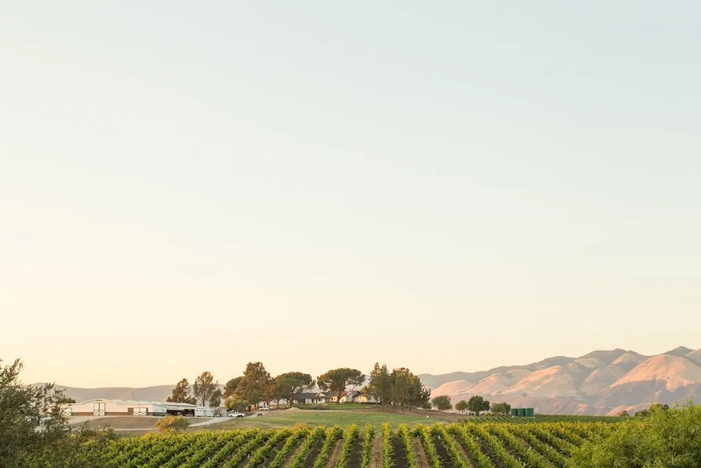 Greengate Ranch & Vineyard #15
