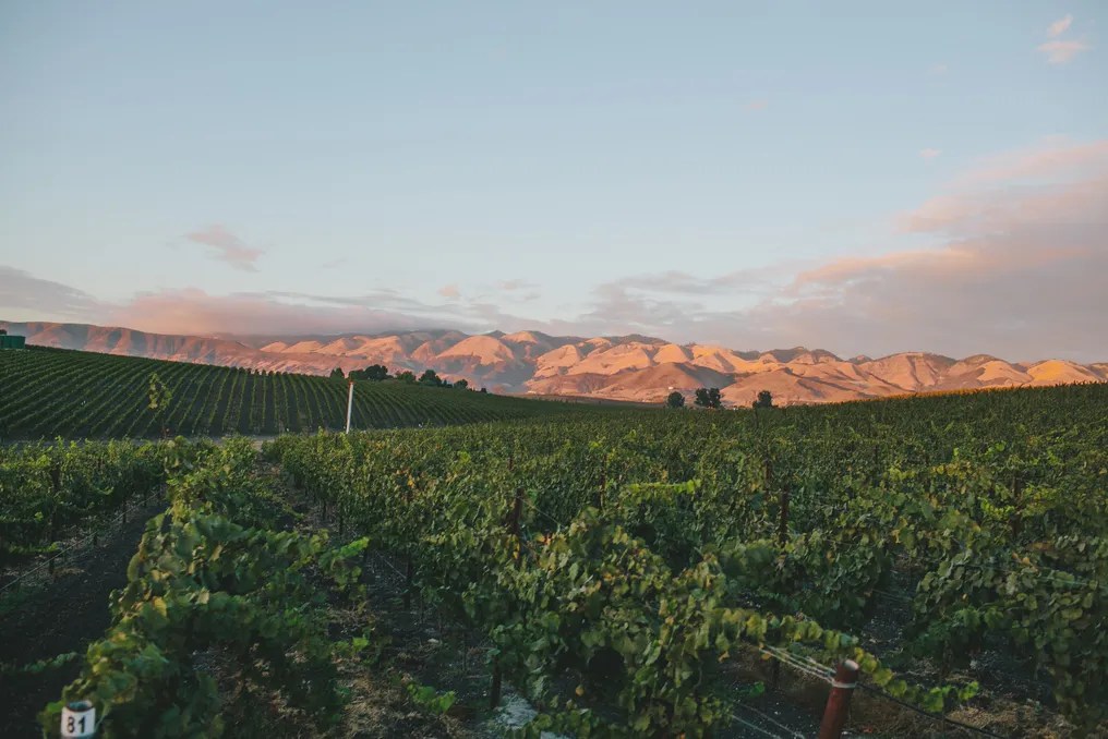 Greengate Ranch & Vineyard #27