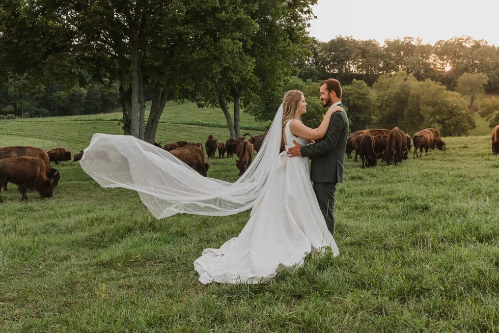 Bullbourne Ranch #5