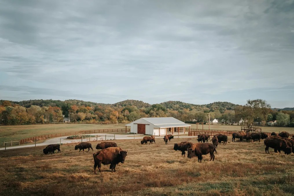 Bullbourne Ranch #7