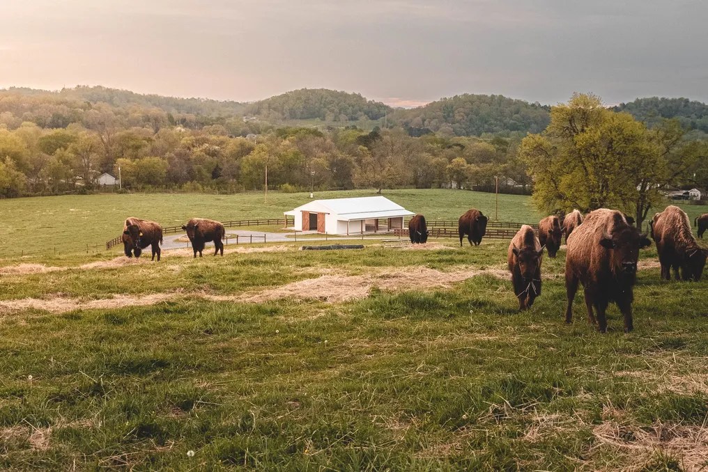 Bullbourne Ranch #13
