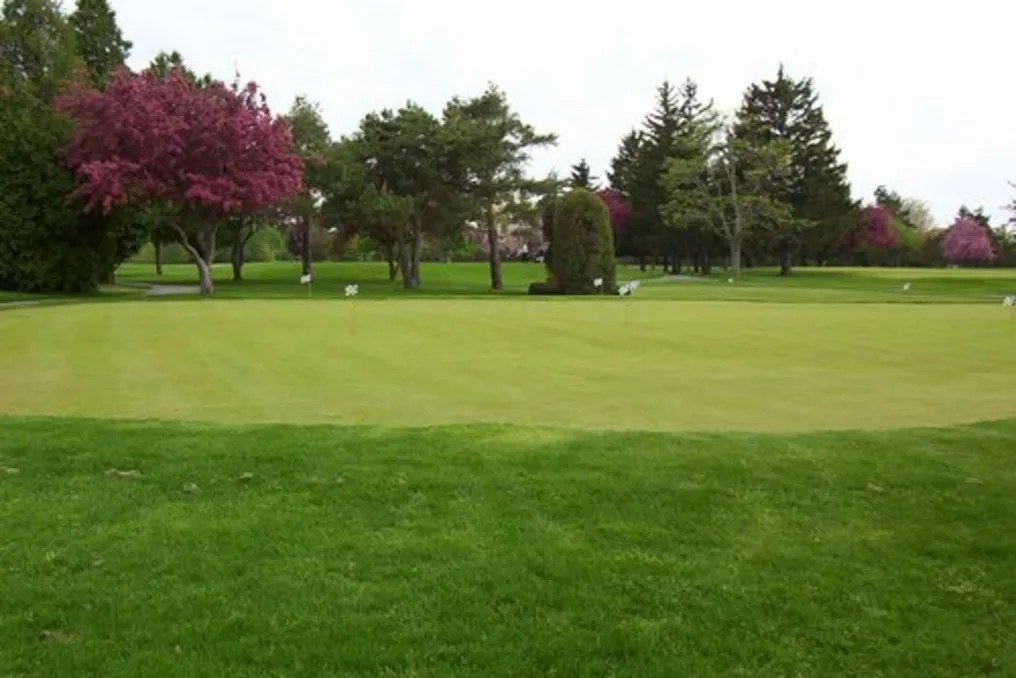 Clifton Springs Country Club #12