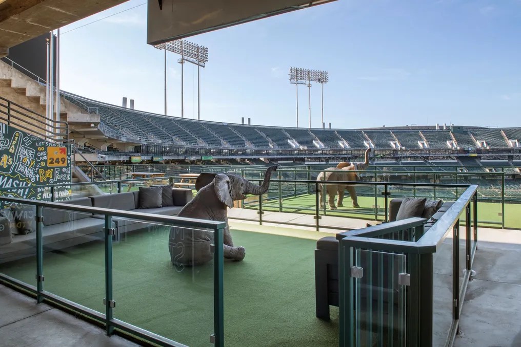 Oakland Arena and Oakland-Alameda County Coliseum #16