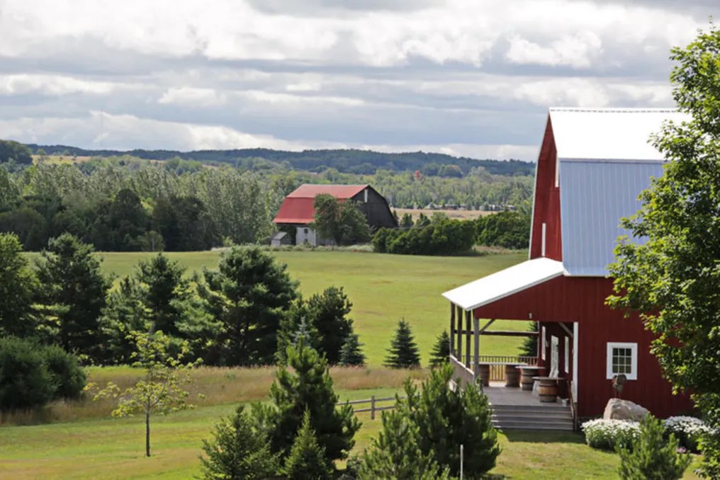 Garvey Family Wedding Barn #6