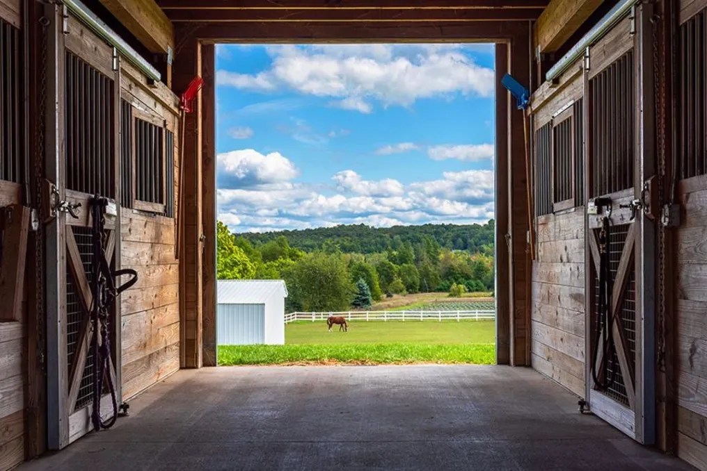 Garvey Family Wedding Barn #9