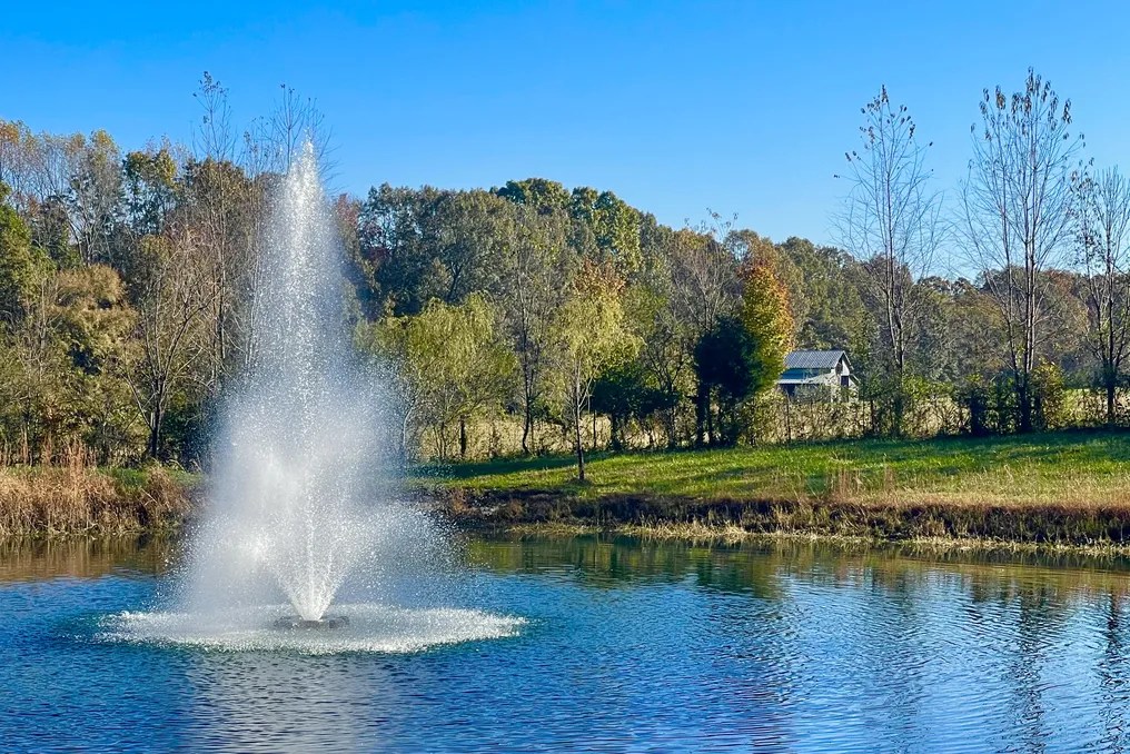 WindSong Farm Weddings & Events #101