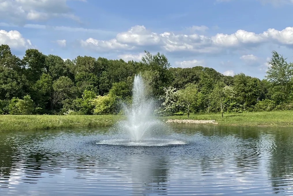WindSong Farm Weddings & Events #149