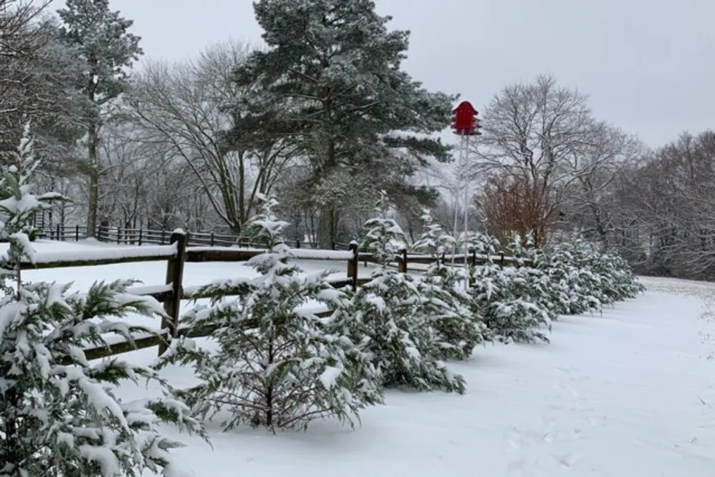 WindSong Farm Weddings & Events #170