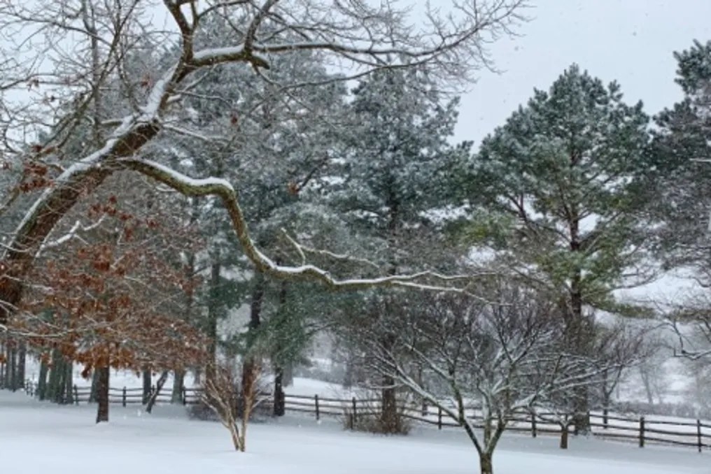 WindSong Farm Weddings & Events #172