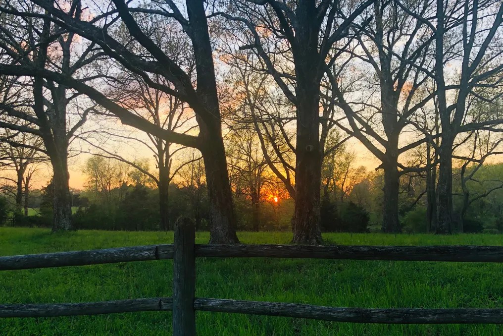 WindSong Farm Weddings & Events #176