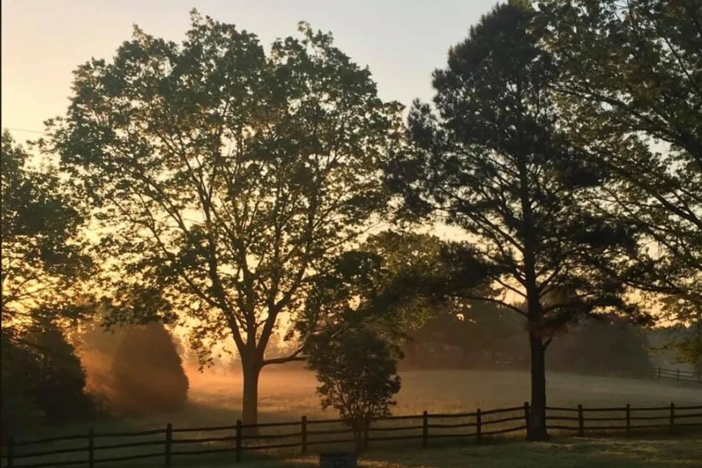 WindSong Farm Weddings & Events #186