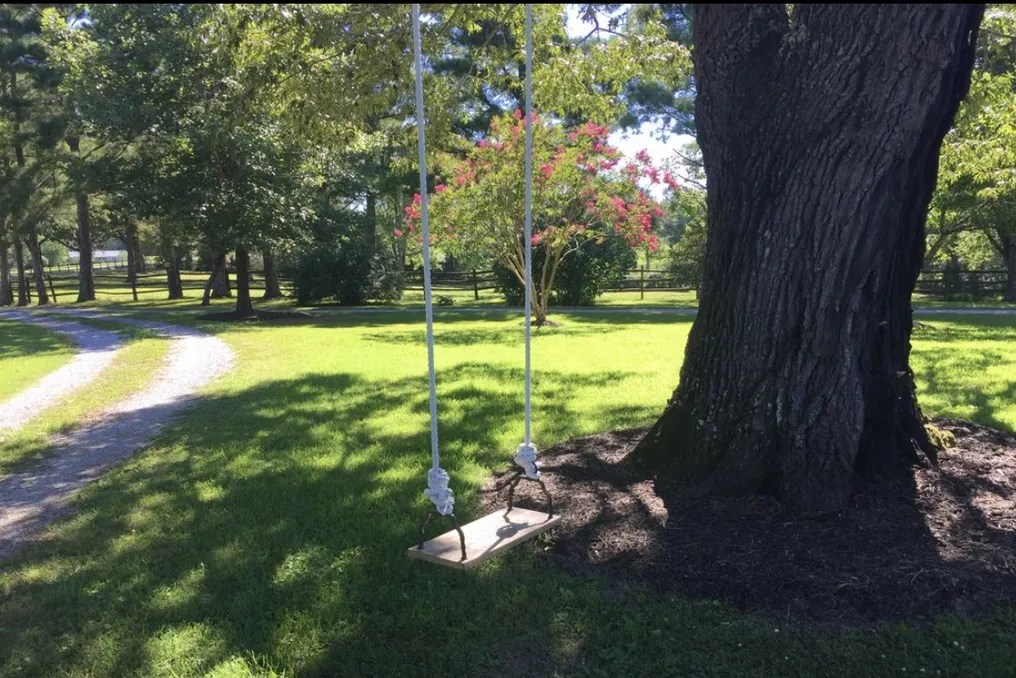 WindSong Farm Weddings & Events #187