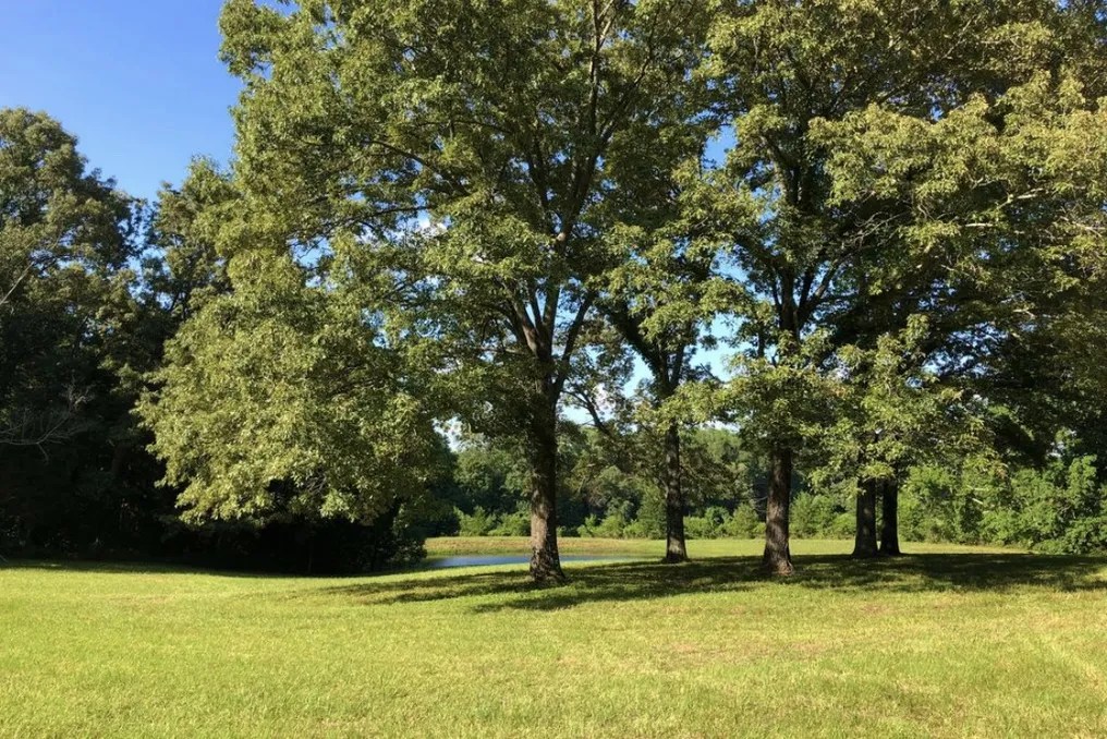 WindSong Farm Weddings & Events #190