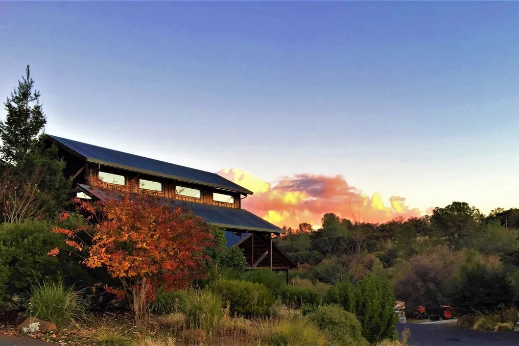 Twisted Oak Winery #21