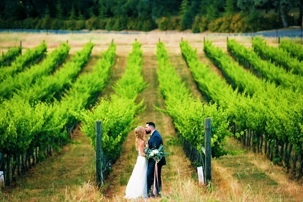 Twisted Oak Winery #24