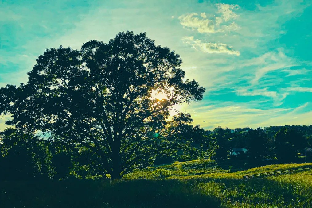 Someplace Upstate #11
