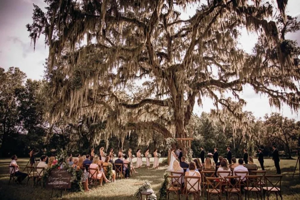 Protea Weddings and Events #2