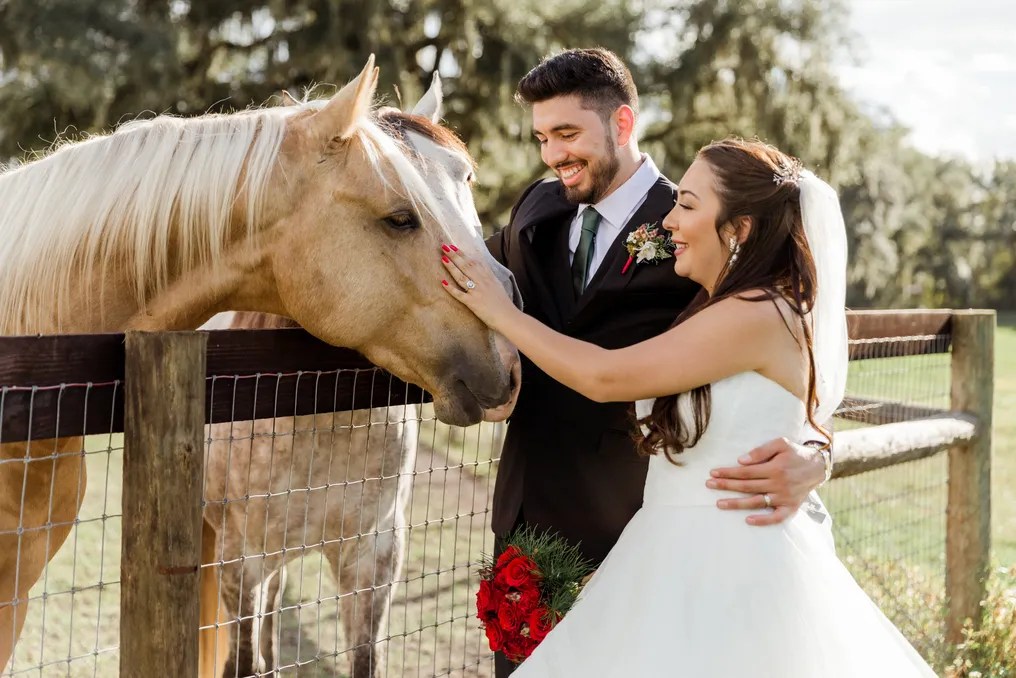 Protea Weddings and Events #9