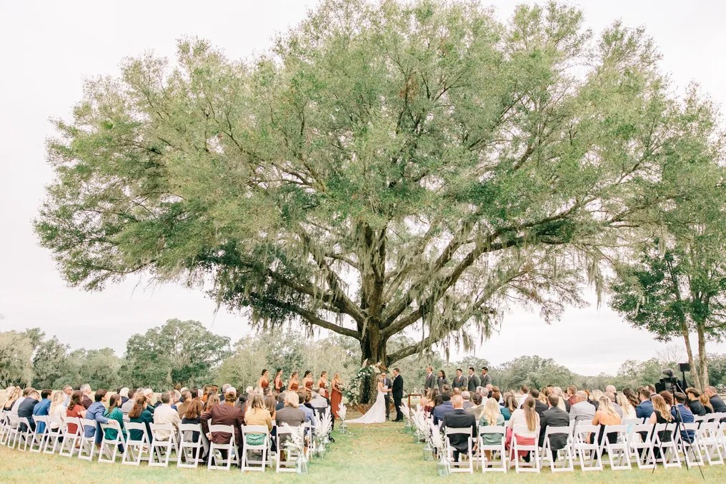 Protea Weddings and Events #44
