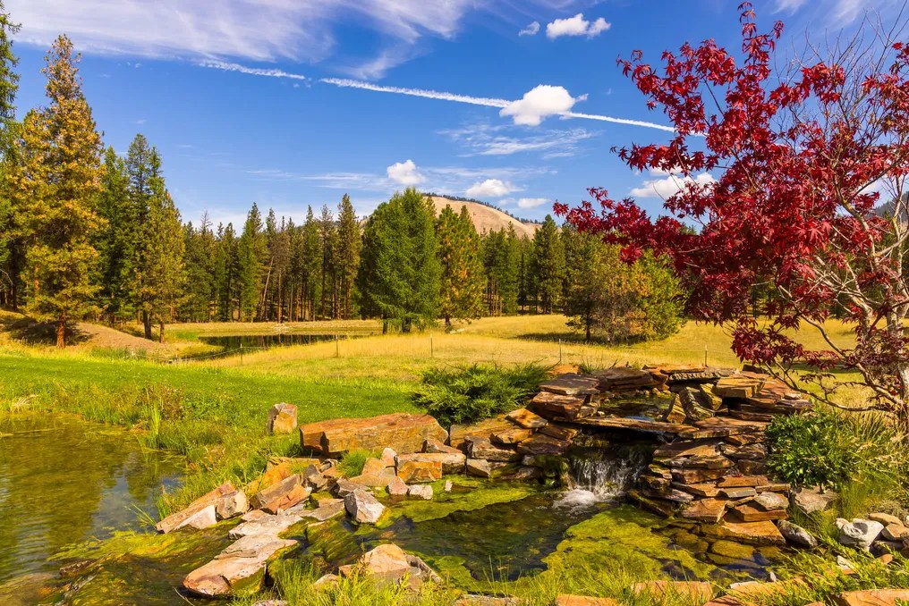 Alpine Falls Ranch #21