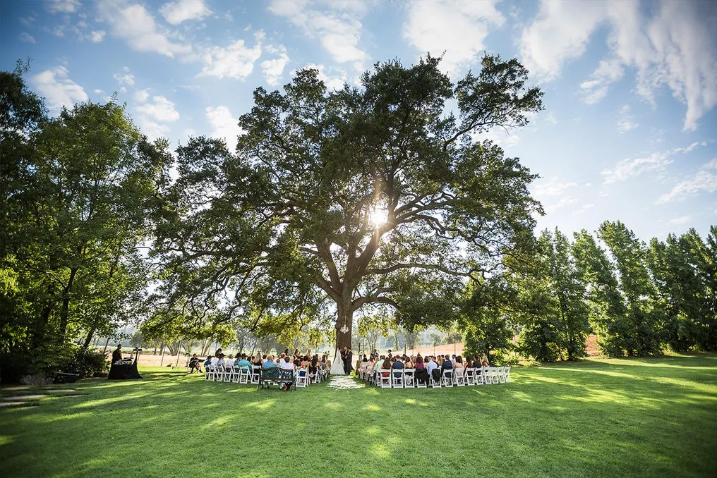 Ironstone Vineyards #1