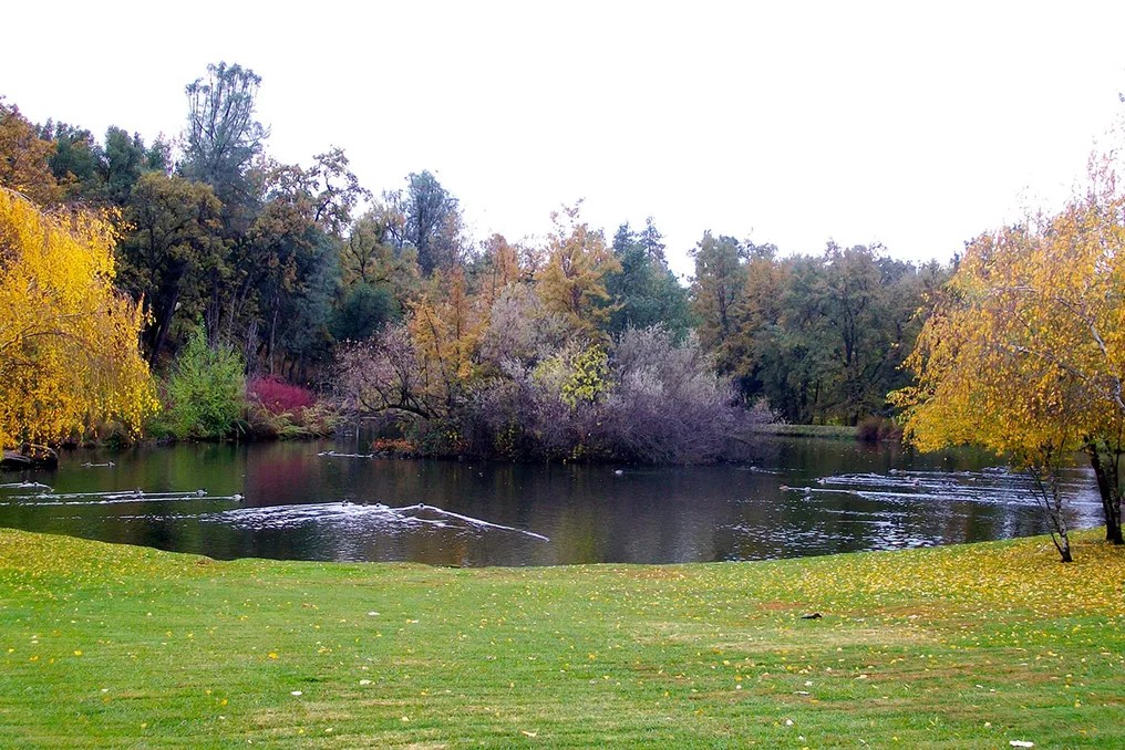 Ironstone Vineyards #26