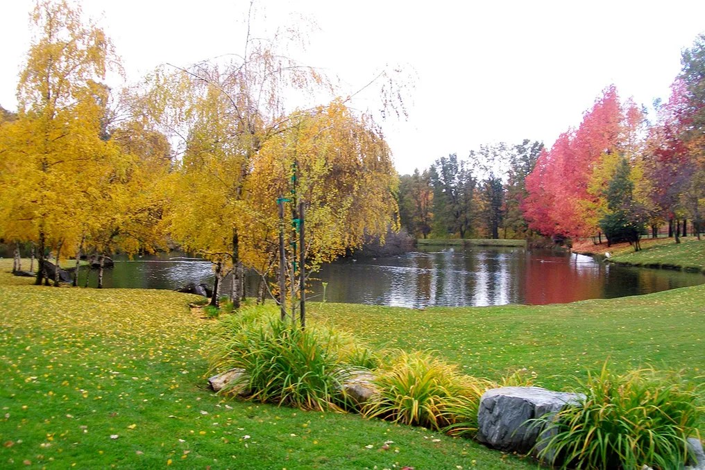 Ironstone Vineyards #27