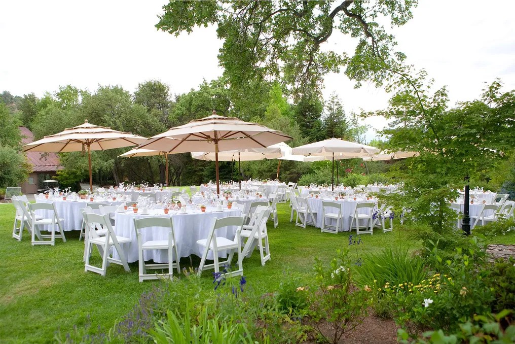 Ironstone Vineyards #49