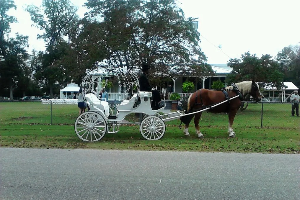 Autauga Place #21