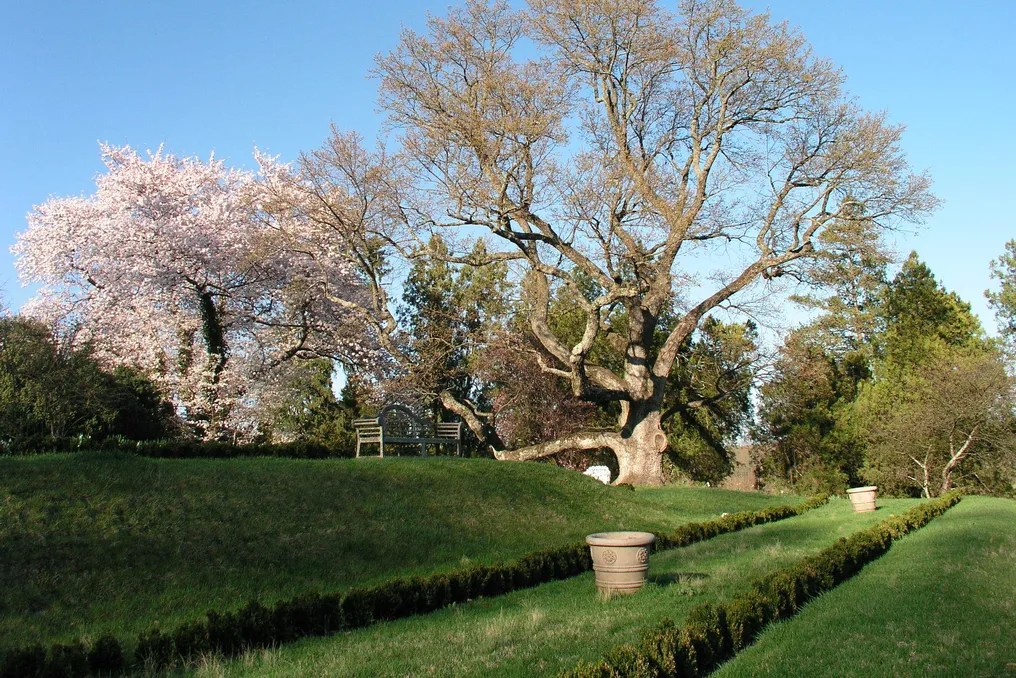 Oatlands Historic House & Garden #11
