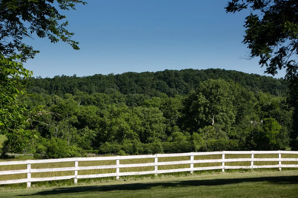Oatlands Historic House & Garden #12