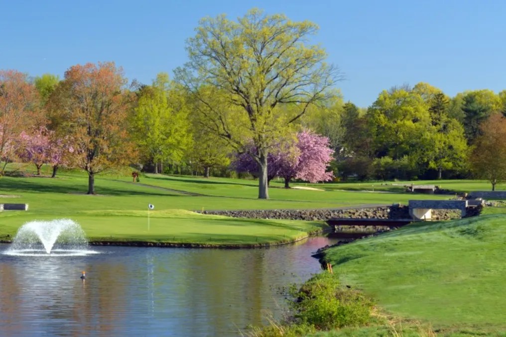 Shackamaxon Country Club #24