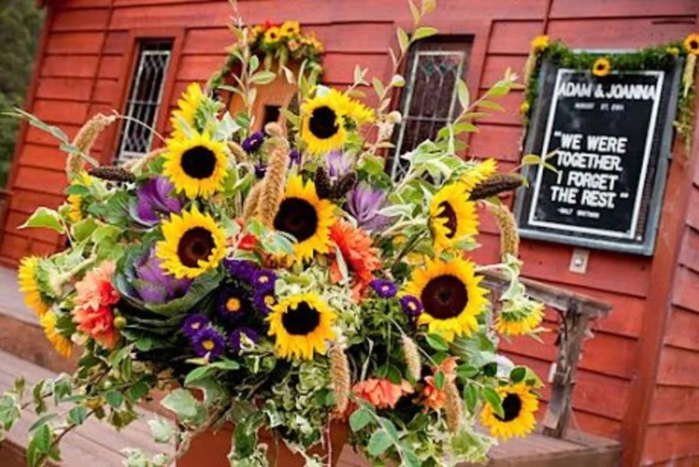 Long Branch Saloon and Farms #19