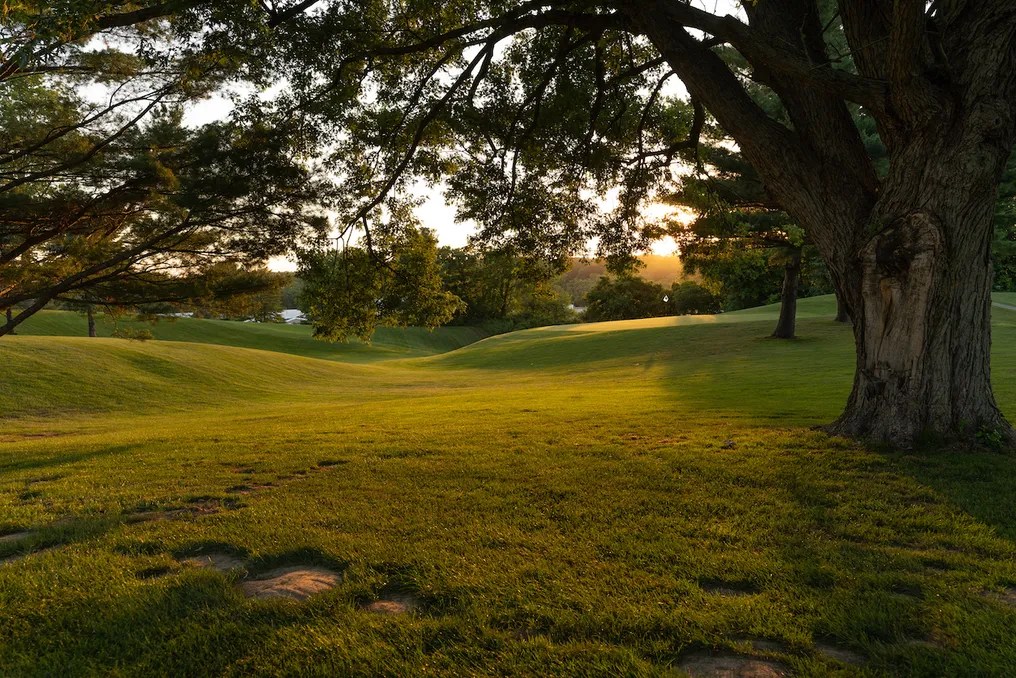 Tiger Pointe Golf & Event Center #35