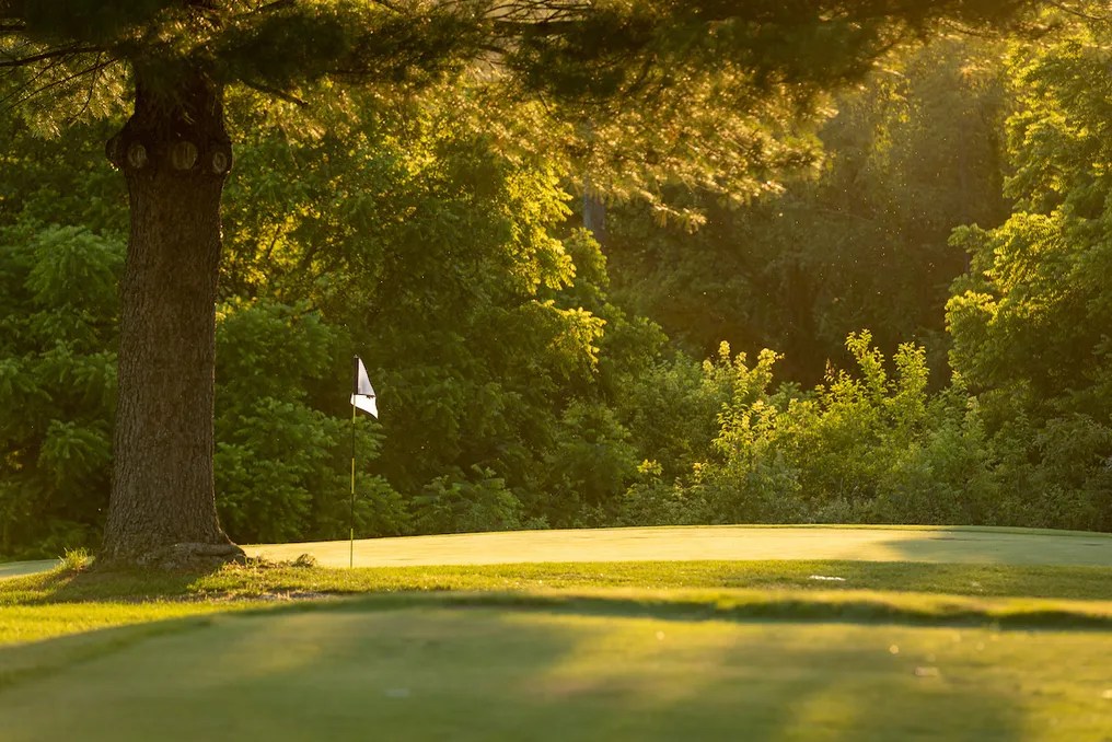 Tiger Pointe Golf & Event Center #48