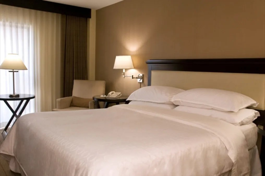 Sheraton Raleigh Hotel #6