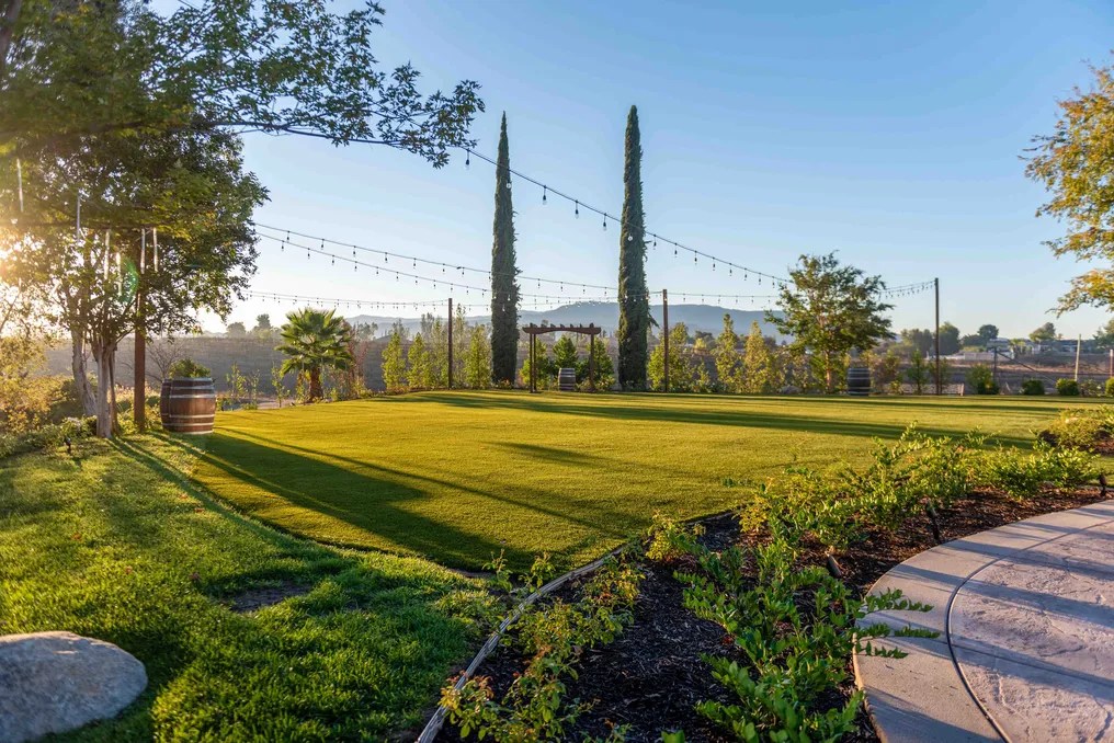Bel Vino Winery by Wedgewood Weddings #2