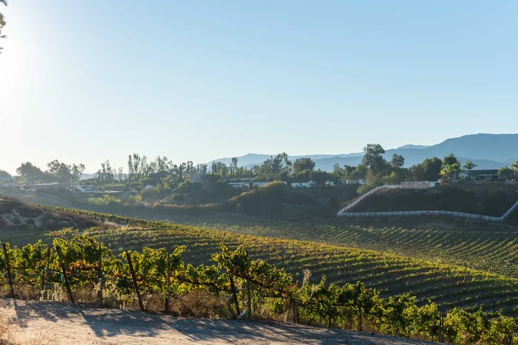 Bel Vino Winery by Wedgewood Weddings #33