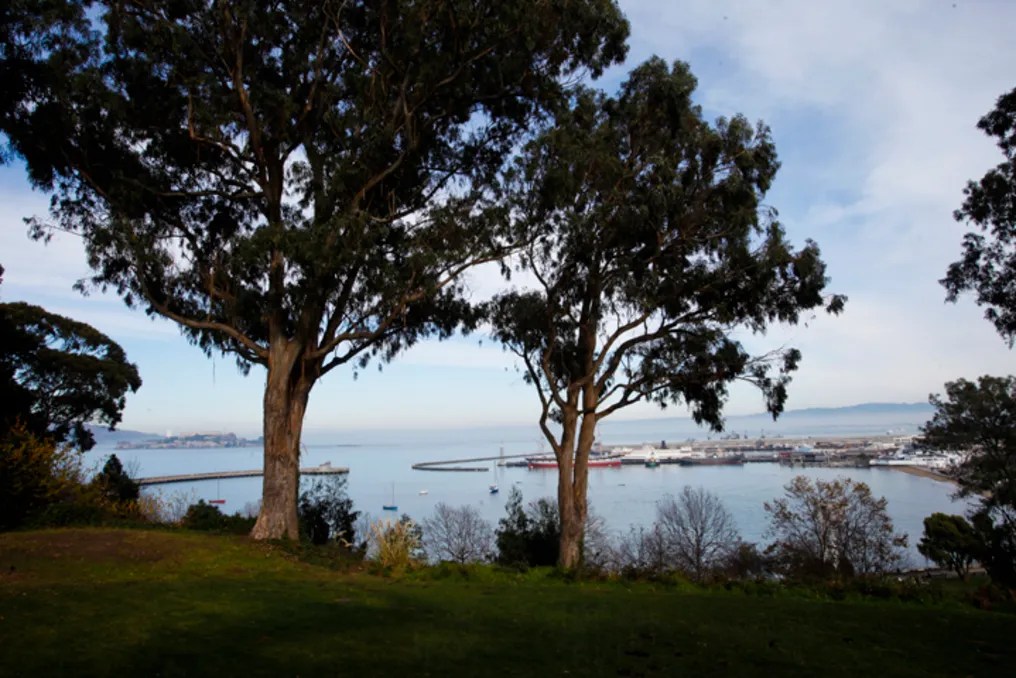 Fort Mason Center for Arts & Culture #13
