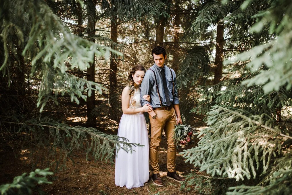 THE PINE TREE BARN #4