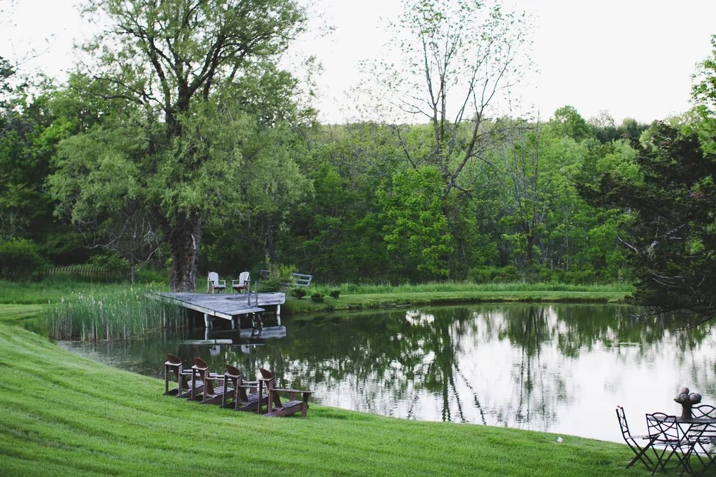 M & D FARM #42
