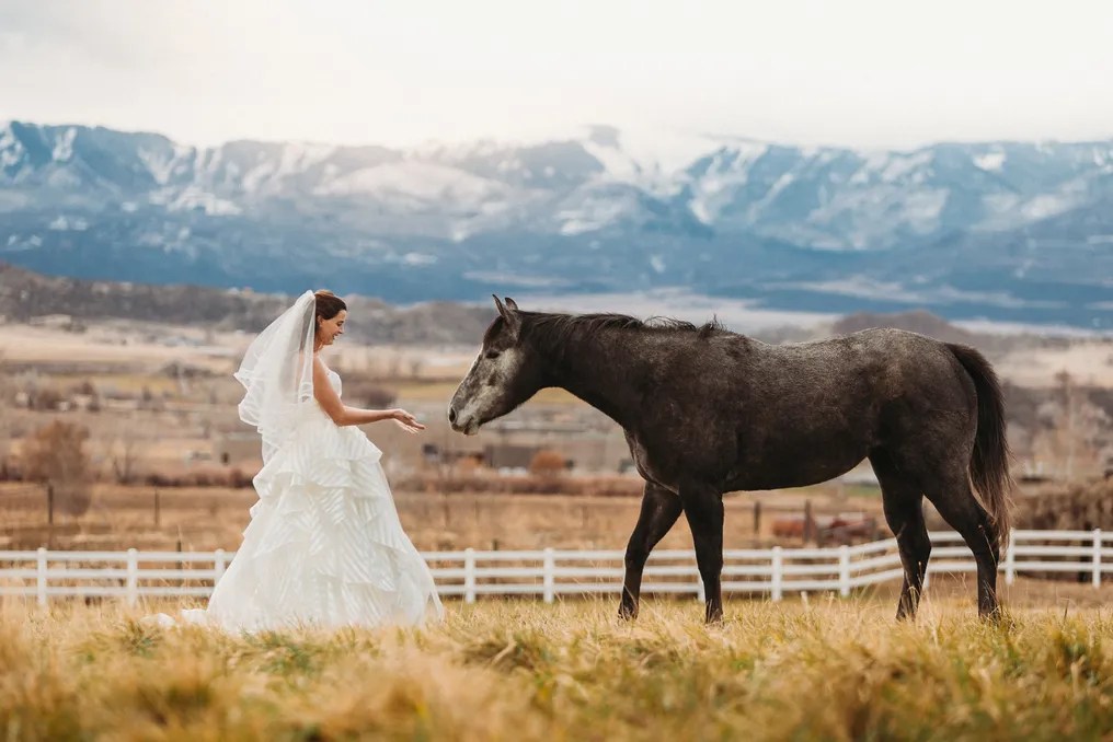 Red Barn Ranch LLC #11