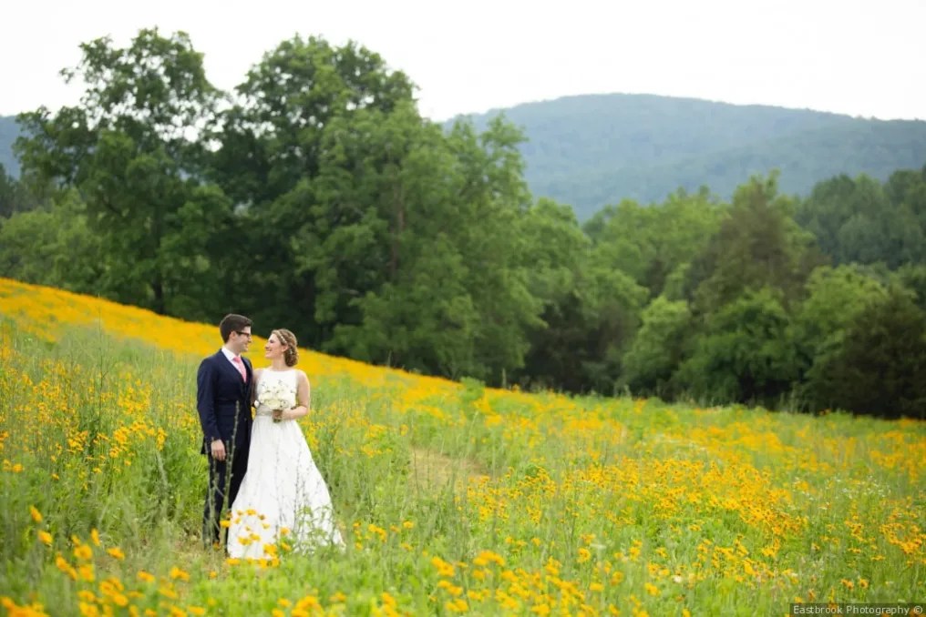 Barboursville Vineyards #10