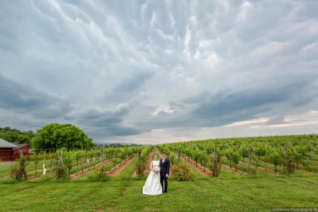 Barboursville Vineyards #12